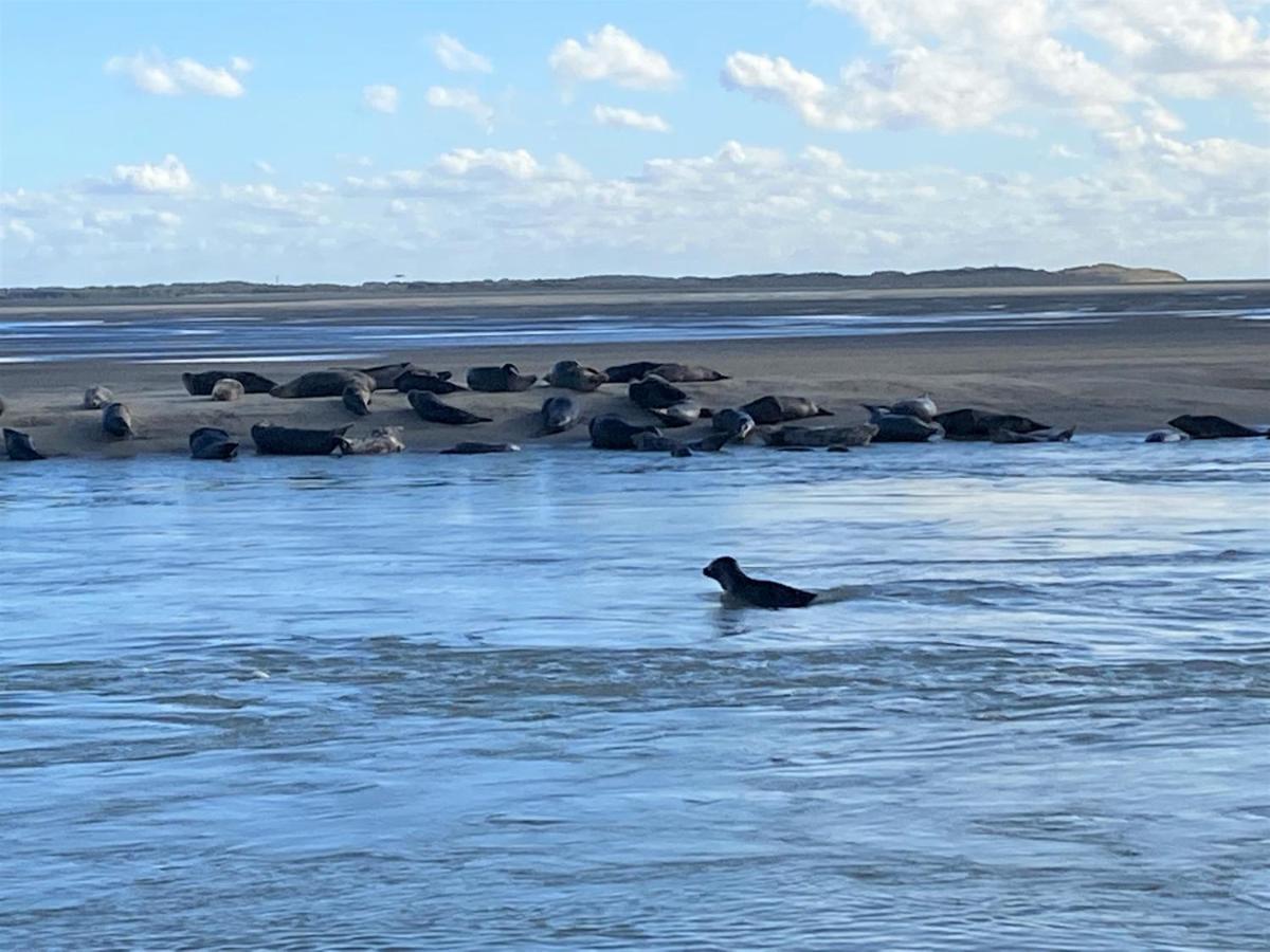 Cote Dune Le Crotoy Eksteriør bilde