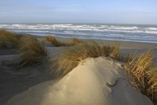 Cote Dune Le Crotoy Eksteriør bilde